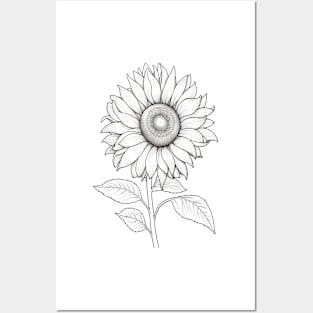 Color Your Own - Sunflower Posters and Art